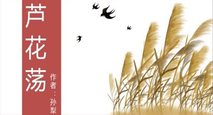 初中語文人教版八年級《蘆花蕩》教育教學(xué)課件PPT模板