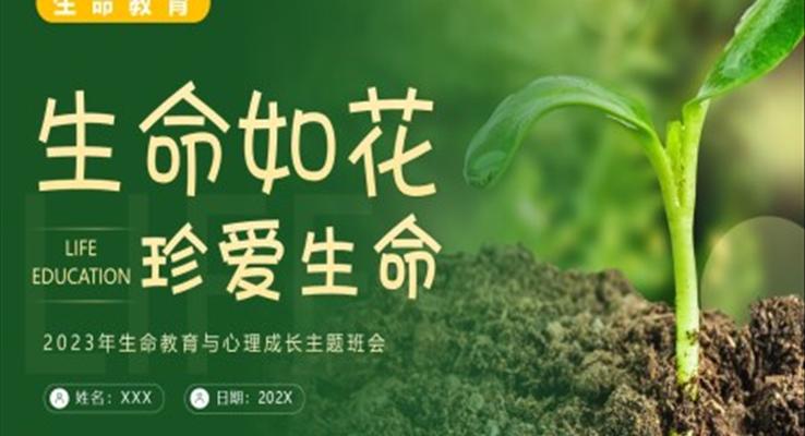 生命教育認(rèn)識(shí)生命珍愛生命安全教育主題班會(huì)PPT模板